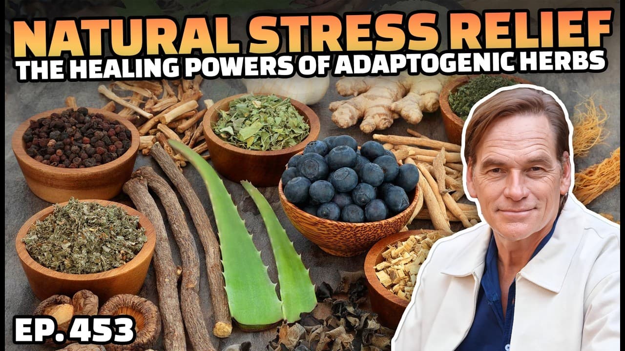 Adaptogens: The Natural Secret to Beating Stress & Boosting Energy